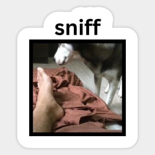 Funny Weird Cute Husky Dog Sniffing Foot Sticker